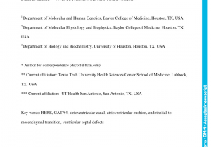 K Jordan Catalog Request Pdf the Proximal Gata4 Promoter Directs Reporter Gene Expression to