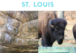 Kid Activities In St Louis This Weekend 210 Family Friendly and Affordable Trip to St Louis and Starved