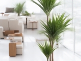 kinds-of-indoor-palm-trees-indoor-palm-images-which-are-the-typical-types-of-palm-2