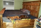 King Bed with Doggie Insert Handmade King Size Bed Designed to Lodge Your Furry Friends