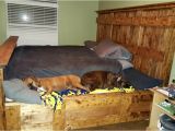King Bed with Doggie Insert Handmade King Size Bed Designed to Lodge Your Furry Friends