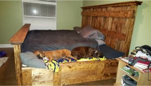 King Bed with Doggie Insert Handmade King Size Bed Designed to Lodge Your Furry Friends