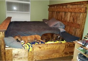 King Bed with Doggie Insert Handmade King Size Bed Designed to Lodge Your Furry Friends