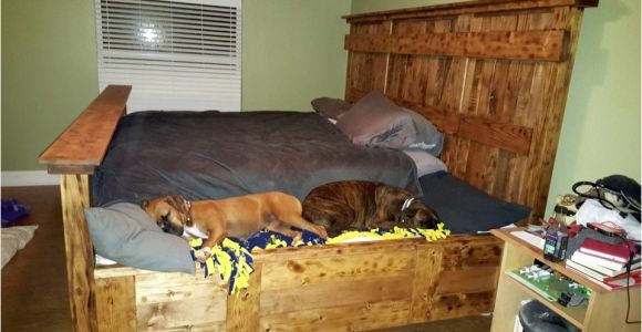 King Bed with Doggie Insert Handmade King Size Bed Designed to Lodge Your Furry Friends