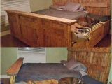 King Bed with Doggie Insert King Bed Funny Pictures Quotes Memes Funny Images