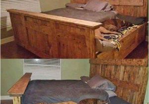 King Bed with Doggie Insert King Bed Funny Pictures Quotes Memes Funny Images