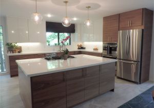 Klearvue Cabinets Vs Ikea Kraftmaid Cabinets Consumer Reports Image Cabinets and Shower