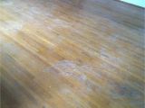 Laminate Flooring Dog Pee Exquisite Clean Wood Floors Dog Pee for Wood Floor