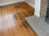 Laminate Flooring Dog Pee Floor How to Clean Dog Urine From Hardwood Floors Floor