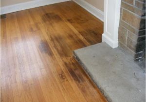 Laminate Flooring Dog Pee Floor How to Clean Dog Urine From Hardwood Floors Floor