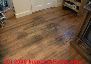 Laminate Flooring Dog Pee Floor How to Clean Dog Urine From Hardwood Floors Floor