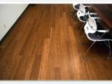 Laminate Flooring Dog Pee Hardwood Versus Laminate Flooring Dogs Gurus Floor