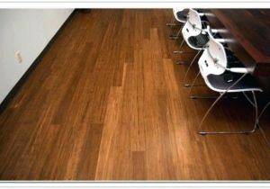 Laminate Flooring Dog Pee Hardwood Versus Laminate Flooring Dogs Gurus Floor