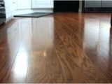 Laminate Flooring Dog Pee Laminate Flooring with Dogs Daring Best Laminate Flooring