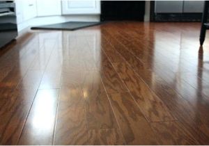 Laminate Flooring Dog Pee Laminate Flooring with Dogs Daring Best Laminate Flooring