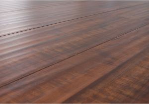 Laminate Flooring Dogs Scratch Does Laminate Flooring Scratch Easily From Dogs Gurus Floor