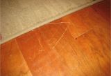 Laminate Flooring Dogs Scratch Laminate Flooring Scratch Cover