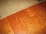 Laminate Flooring Dogs Scratch Laminate Flooring Scratch Cover