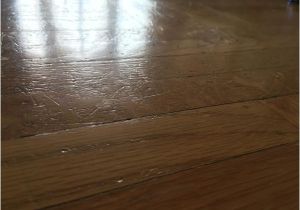 Laminate Flooring Dogs Scratch Scratches From My Big Dog On Hardwood Floor What Should I