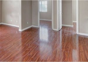 Laminate Flooring Dogs Slipping 6 Pet Friendly Flooring Options for Your Home