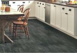 Laminate Flooring Dogs Slipping Best Kitchen Flooring for Dogs Wow Blog