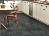 Laminate Flooring Dogs Slipping Best Kitchen Flooring for Dogs Wow Blog