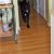 Laminate Flooring Dogs Slipping Tips for Dog Owners with Hardwood Floors the Log Home Guide