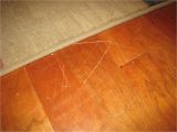 Laminate Flooring Dogs Urine Cat Urine On Laminate Flooring