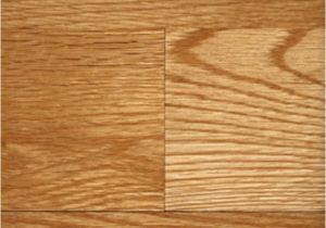 Laminate Flooring Dogs Urine How to Make Laminate Wood Darker Stains Lighter and How