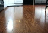 Laminate Flooring Dogs Urine Laminate Flooring with Dogs Daring Best Laminate Flooring