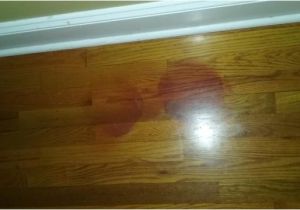 Laminate Flooring Dogs Urine Removing Pet Urine Stains From Hardwood Doityourself Com