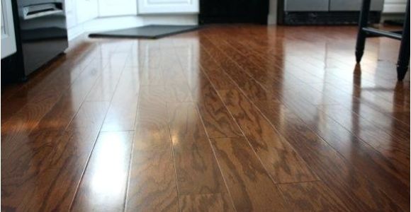 Laminate Flooring Good with Dogs Laminate Flooring with Dogs Daring Best Laminate Flooring