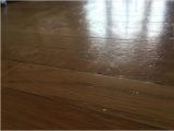 Laminate Flooring with Big Dogs Does Laminate Flooring Scratch Easily From Dogs Gurus Floor