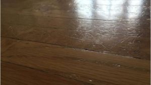 Laminate Flooring with Big Dogs Does Laminate Flooring Scratch Easily From Dogs Gurus Floor