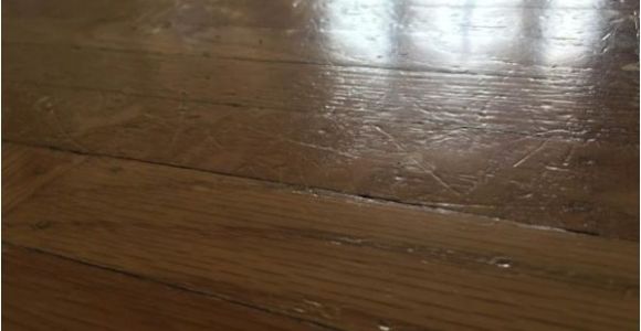 Laminate Flooring with Big Dogs Does Laminate Flooring Scratch Easily From Dogs Gurus Floor