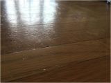 Laminate Flooring with Big Dogs Scratches From My Big Dog On Hardwood Floor What Should I