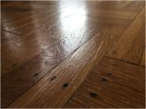 Laminate Flooring with Big Dogs Wood or Laminate Flooring for Dogs Gurus Floor