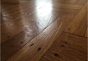 Laminate Flooring with Big Dogs Wood or Laminate Flooring for Dogs Gurus Floor