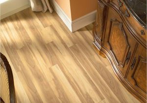 Laminate Flooring with Pets Laminate Flooring Pets Laminate Flooring