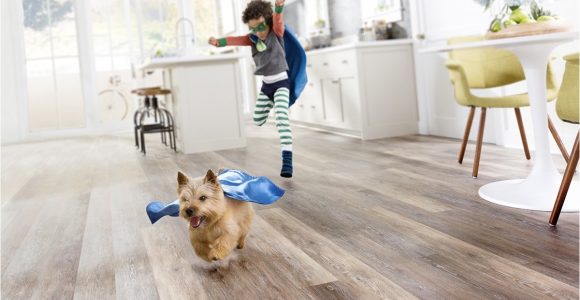 Laminate Flooring with Pets Waterproof and Scratch Proof Laminate Flooring