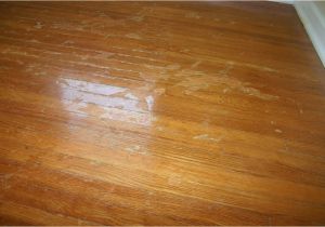Laminate Wood Flooring with Dogs Laminate Wood Flooring Dogs Hawk Haven