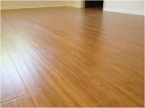 Laminate Wood Flooring with Dogs Laminate Wood Flooring for Dogs the Interior Design