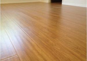 Laminate Wood Flooring with Dogs Laminate Wood Flooring for Dogs the Interior Design