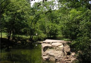 Landscape Rock Louisville Ky Landscape Designs Pineville fort Mill Rock Hill Charlotte