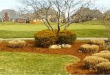 Landscape Rock Louisville Ky Landscaping Rock Louisville Ky Newest Home Lansdscaping