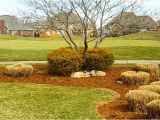 Landscape Rock Louisville Ky Landscaping Rock Louisville Ky Newest Home Lansdscaping