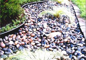 Landscape Rock Louisville Ky Landscaping Rock Louisville Ky Outdoor Goods