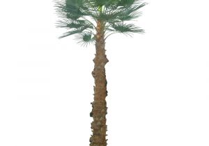 Large Fake Palm Trees for Sale 2 5m Artificial areca Palm Trees with 940 Leaves Artificial Palm