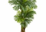 Large Fake Palm Trees for Sale Fake Palm Trees for Sale Indoor Adinaporter