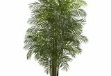 Large Fake Palm Trees for Sale Fake Palm Trees for Sale Indoor Adinaporter